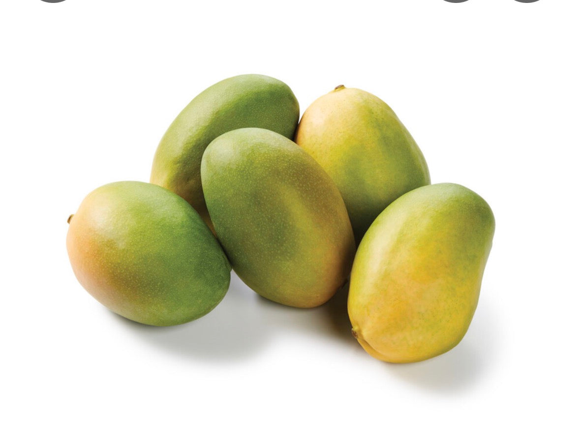 Mango - Brooks (S)