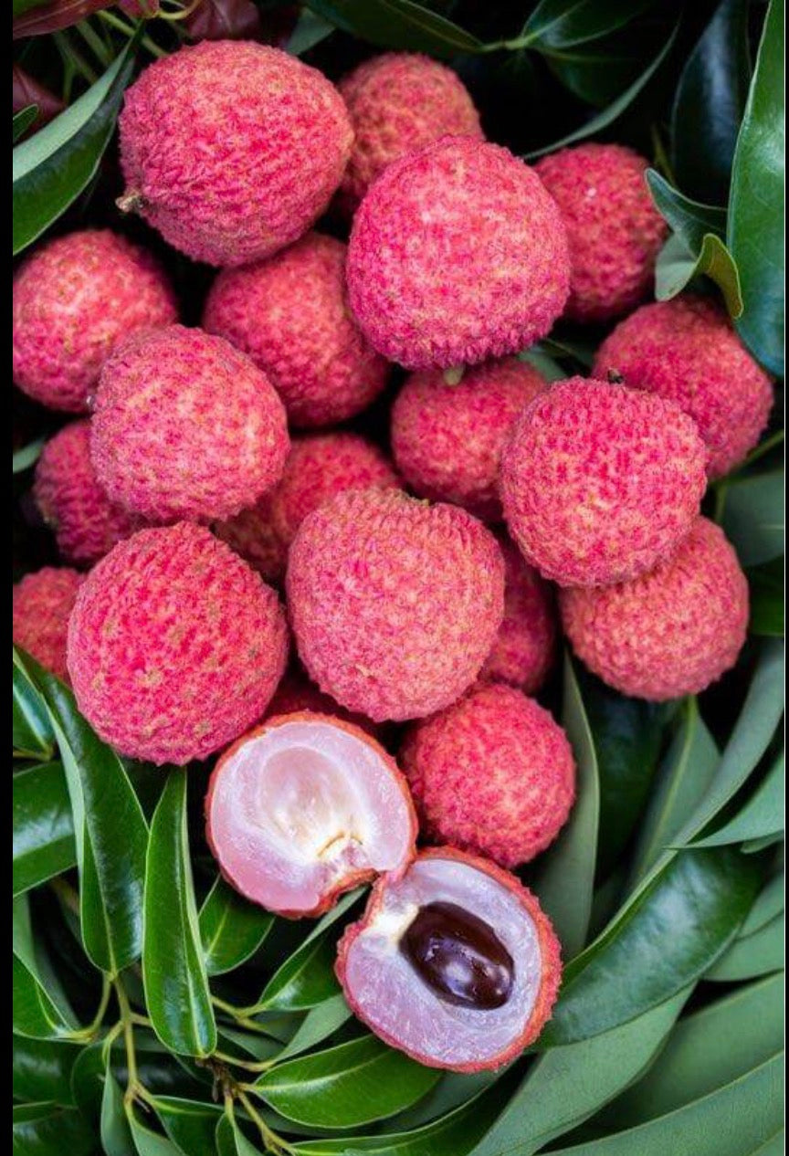 Kwai Mai Pink Lychee (Bosworth 3)